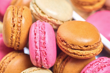 Colorful french macaroons in a box