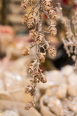 Christmas tree, ornaments and santa claus