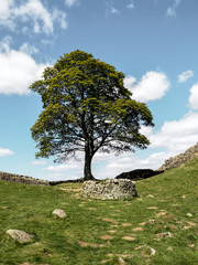 Hadrian's Wall