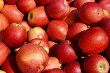 Fototapeta na wymiar Apples at the Farmer's Market
