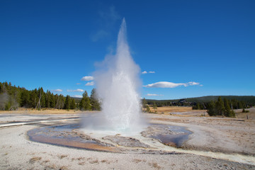 Geyser