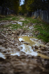 Rural road with wet mud