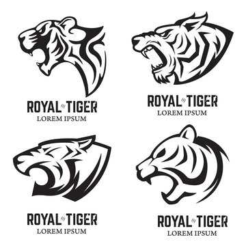 Set of the tiger heads. Sport team mascot. Design element for lo