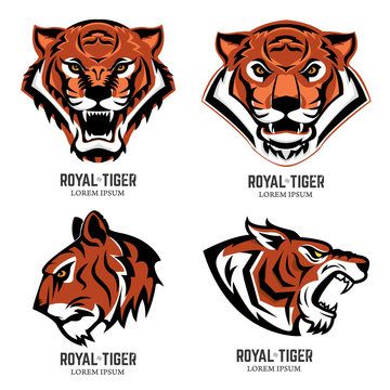 Set of the tiger heads. Sport team mascot. Design element for lo