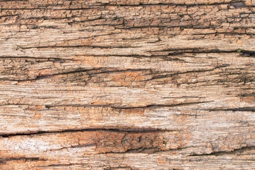 Texture old wood background vintage