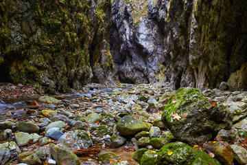 River in a canyon