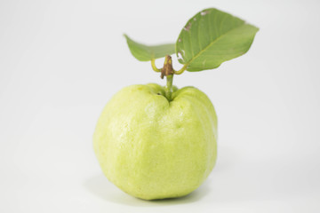 guava