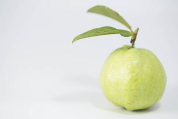 guava