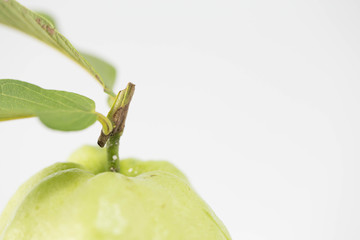 guava