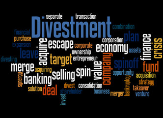 Divestment, word cloud concept 7