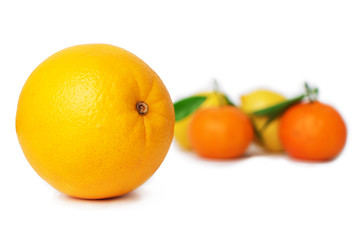 Citrus fruits. Orange, tangerines and lemons on the white backgr