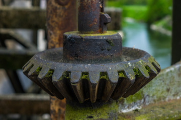 Old and rusty gear in the sunlight