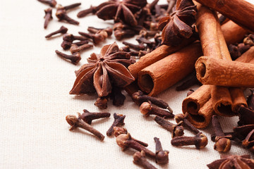 Spices cinnamon sticks anise stars and cloves