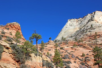 Zion National Park, Utah