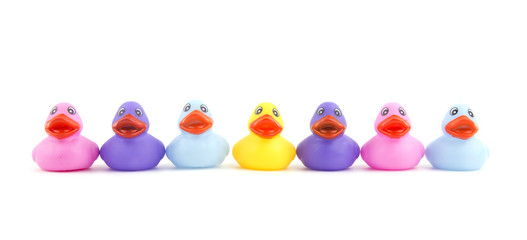 Colorful rubber ducks in an open line, facing the viewer, on white