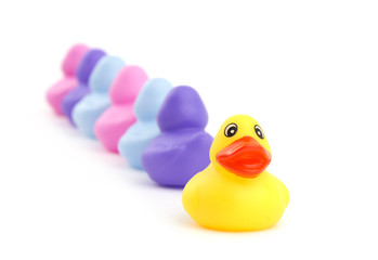 Rubber duck facing viewer, while others heading to opposite direction - concept of individuality