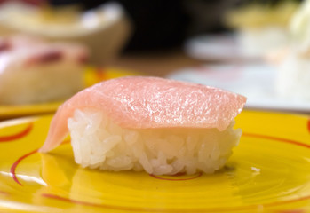 生マグロ カマトロ寿司