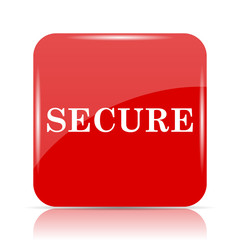 Secure icon