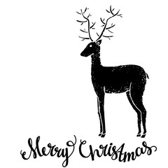 Reindeer. Christmas card