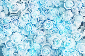 Fototapeta premium prawdziwy niebieski. niewyraźne słodkich róż w stylu pastelowych kolorów na miękkiej rozmycie tekstury bokeh na tle