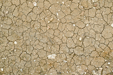 dry and cracked ground.Cracked texture.Dryness