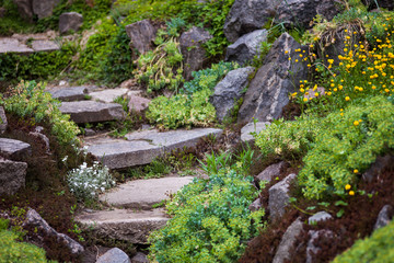 Stony stairs in the green garden