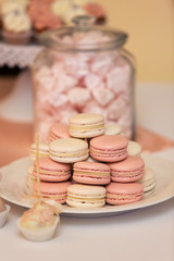 Tray with delicious cakes and macaroon. Colorful macaroons. Elegant sweet table with cake pops on dinner or event party.