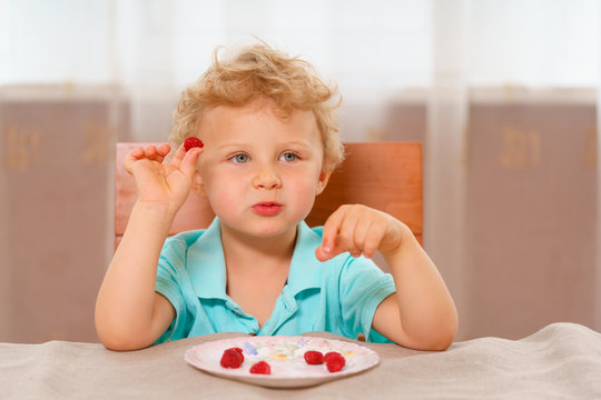 Little Blonde Curly-haired Kid In A Blue Shirt Eating Red Raspberries For Breakfast Out Of Pink Porcelain Plate, Sitting At The Kitchen Table On A Chair With A High Wooden Back.