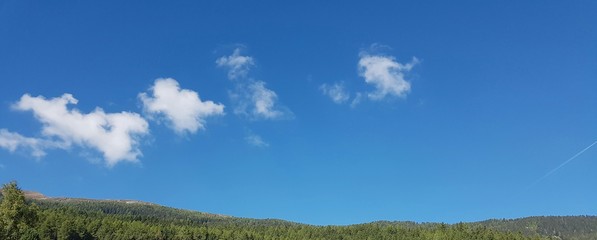 Fototapeta na wymiar Wolkenhimmel über Wald