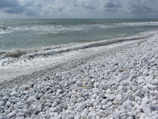 Seashore of Marina di Pisa beach in a cloudy day at summer. Tuscany, Italy