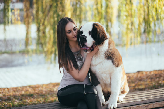 Beautiful Young Brunette Woman Sitting Next To Her Adorable Saint Bernard Puppy In Park.