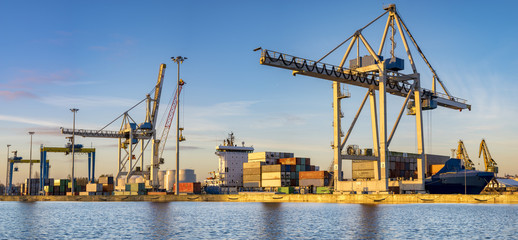 Fototapeta premium Containers loading by crane, Trade Port