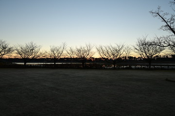 Sunrise on Tatebayashi Tatara Swamp in Japan. Tatara Swamp is famous in Japan.