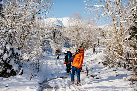 A group of tourists with backpacks and skis goes to the mountain