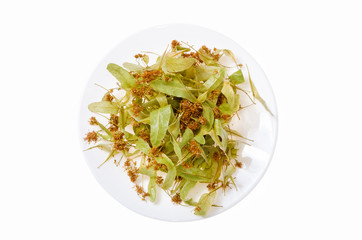 Linden flowers on a white plate flat lay isolated on minimal background
