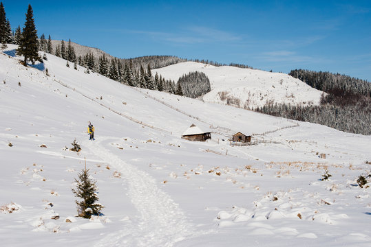 Winter landscapes of  Carpathian mountains in sunny weather