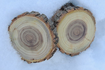 круглые деревянные спилы на белом снегу