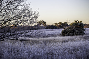 Winterlandschaft im Naturschutzgebiet 