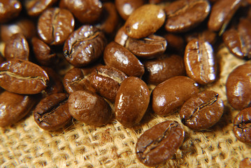 whole coffee beans 
