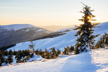 Fototapeta na wymiar Sunset in beautiful winter Carpathian mountains, Ukraine
