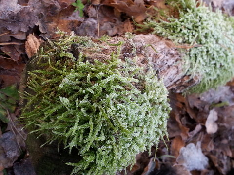Winterbilder