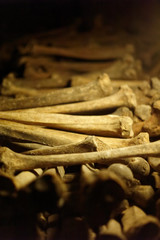 Paris Catacombs