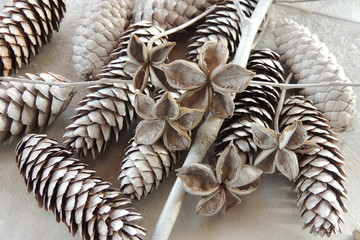 новогодний декор из белых шишек сосны  © zelinskaalla