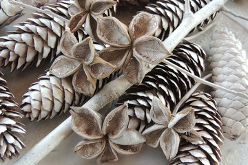 новогодний декор из белых шишек сосны  © zelinskaalla