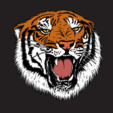 Angry tiger is growling