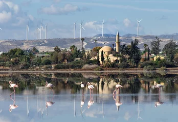 Gordijnen Hala Sultan Tekke in Cyprus © tns2710