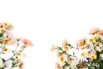 Obraz na płótnie Canvas branches delicate chrysanthemum on white background
