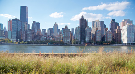 Fototapeta premium Manhattan Skyline from Roosevelt Island