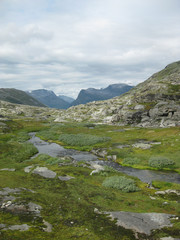 Bachlauf in der Natur Norwegen umgeben von Bergen