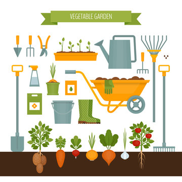 Vegetable garden. Garden tools. Flat style, vector illustration.
